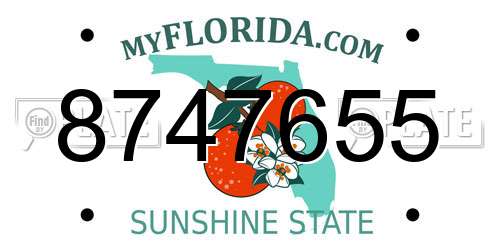 8747655 Florida License Plate