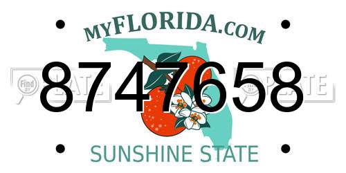 8747658 Florida License Plate