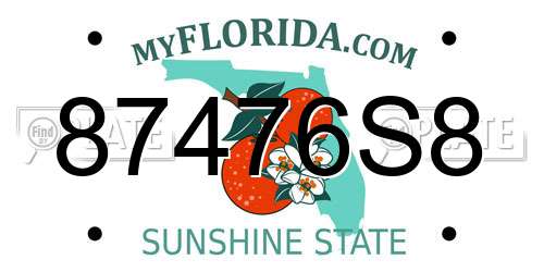 87476S8 Florida License Plate