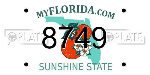 8749 Florida License Plate