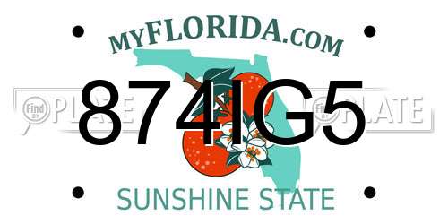 874IG5 Florida License Plate