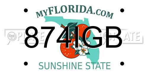 874IGB Florida License Plate