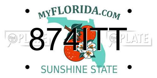 874ITT Florida License Plate