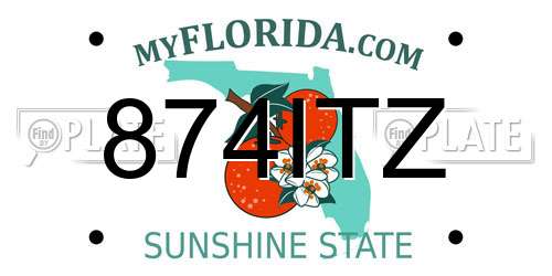 874ITZ Florida License Plate