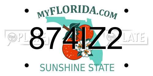874IZ2 Florida License Plate