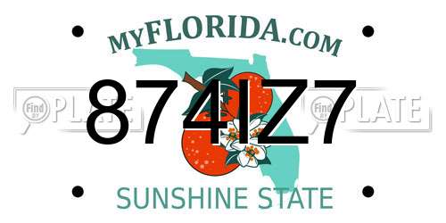 874IZ7 Florida License Plate
