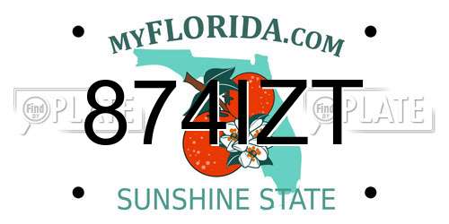 874IZT Florida License Plate