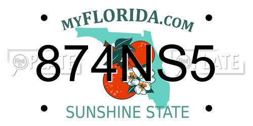874NS5 Florida License Plate