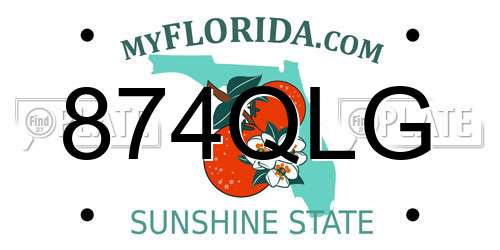 874QLG Florida License Plate