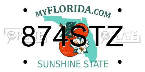 874STZ Florida License Plate