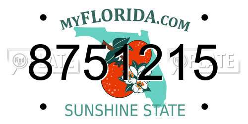 8751215 Florida License Plate