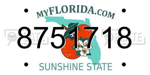 8751718 Florida License Plate