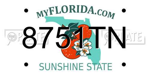 8751TN Florida License Plate