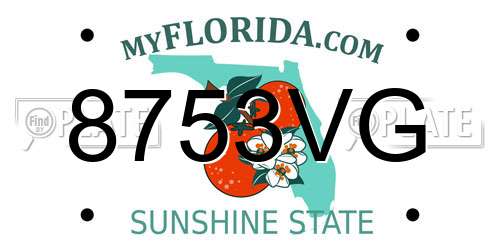 8753VG Florida License Plate
