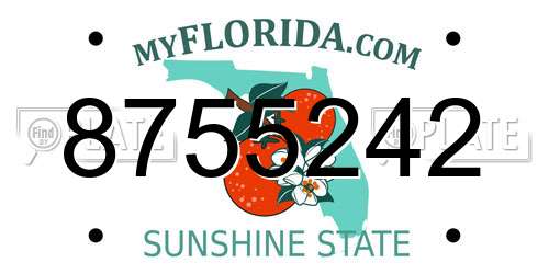 8755242 Florida License Plate