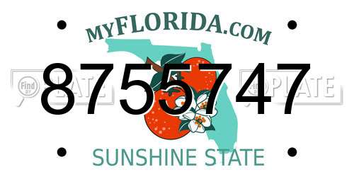 8755747 Florida License Plate