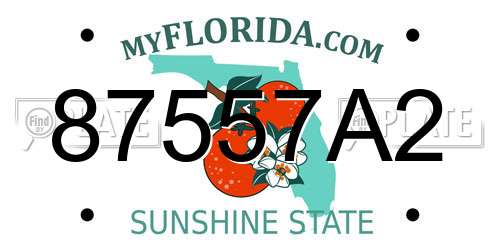 87557A2 Florida License Plate