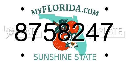 8758247 Florida License Plate