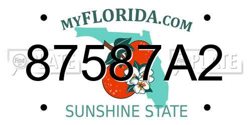 87587A2 Florida License Plate