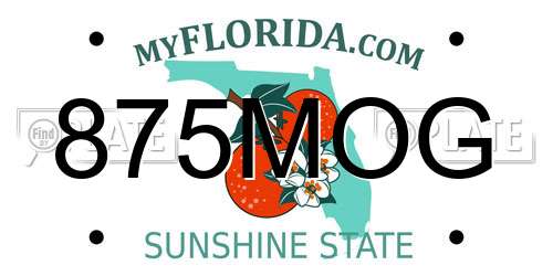 875MOG Florida License Plate