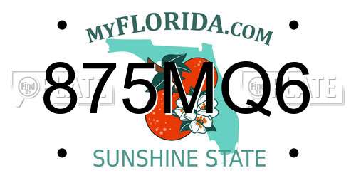 875MQ6 Florida License Plate