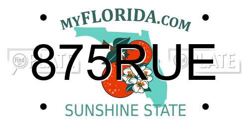 875RUE Florida License Plate