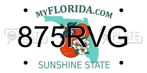 875RVG Florida License Plate
