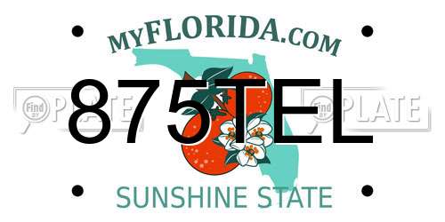 875TEL Florida License Plate