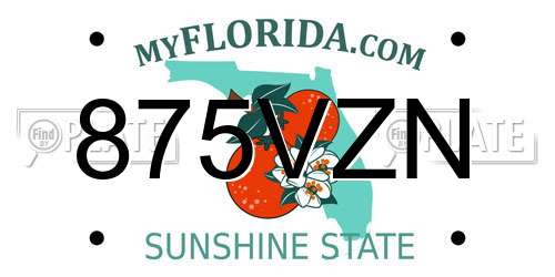 875VZN Florida License Plate