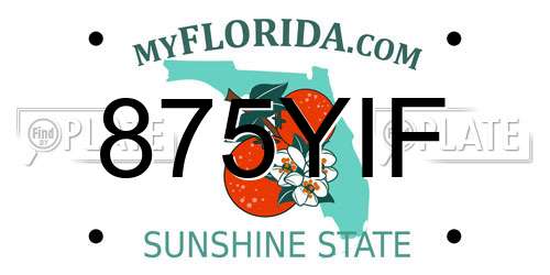 875YIF Florida License Plate