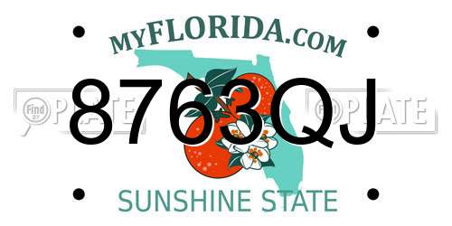 8763QJ Florida License Plate