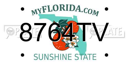 8764TV Florida License Plate