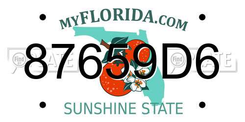 87659D6 Florida License Plate