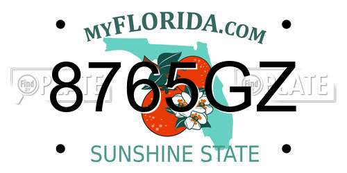 8765GZ Florida License Plate