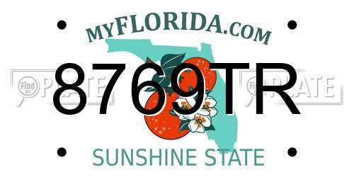 8769TR Florida License Plate