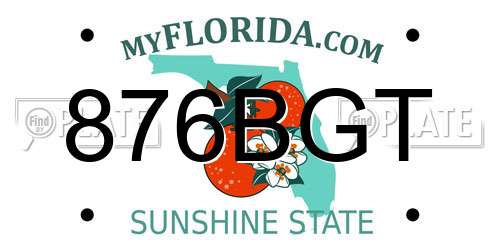 876BGT Florida License Plate