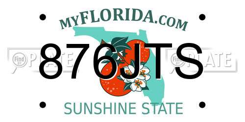 876JTS Florida License Plate