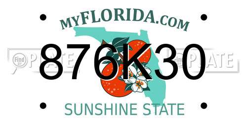 876K30 Florida License Plate
