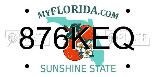 876KEQ Florida License Plate
