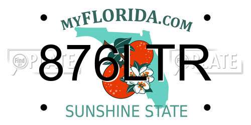 876LTR Florida License Plate