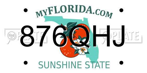 876QHJ Florida License Plate