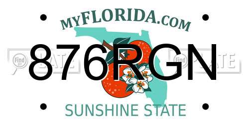 876RGN Florida License Plate
