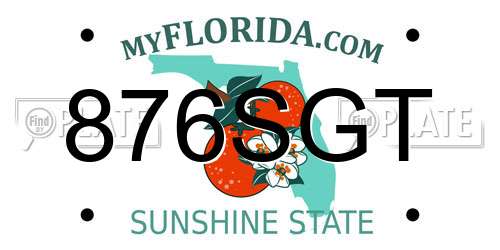 876SGT Florida License Plate