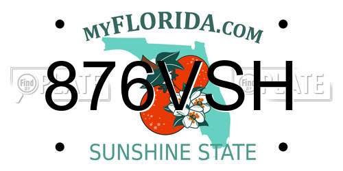876VSH Florida License Plate