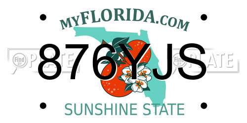 876YJS Florida License Plate