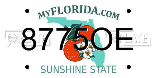 8775OE Florida License Plate