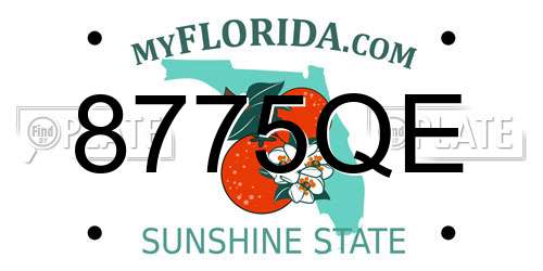 8775QE Florida License Plate