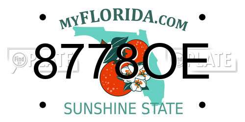 8778OE Florida License Plate