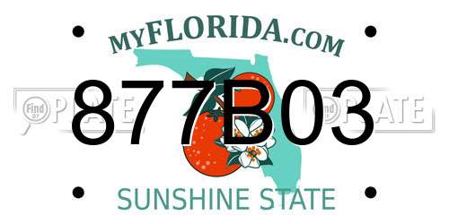 877B03 Florida License Plate