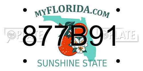 877B91 Florida License Plate